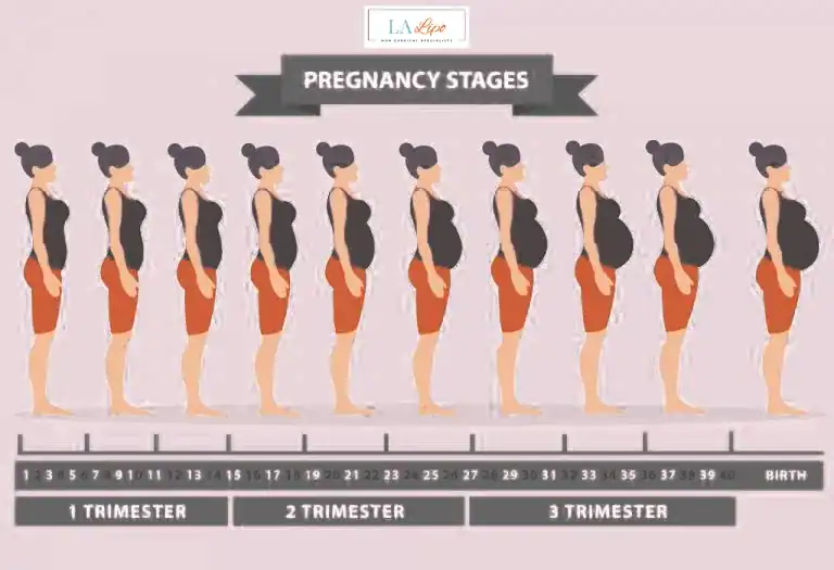 First Trimester (Weeks 1–12): Early Changes You Might Not Notice Sydenham
